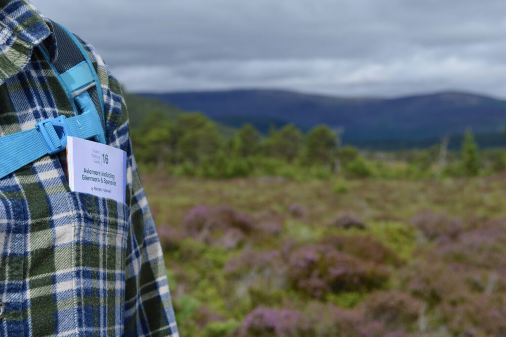 Travel Guide to the Scottish Highlands: A Journey Through Scotland's Rugged Beauty