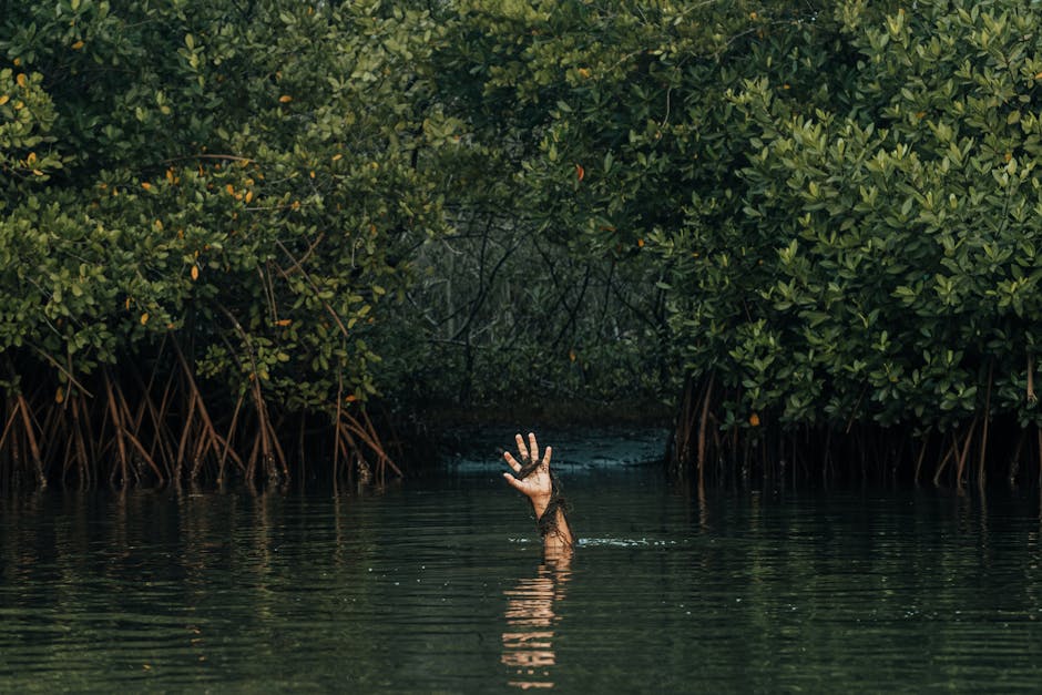 emerging nomad locations