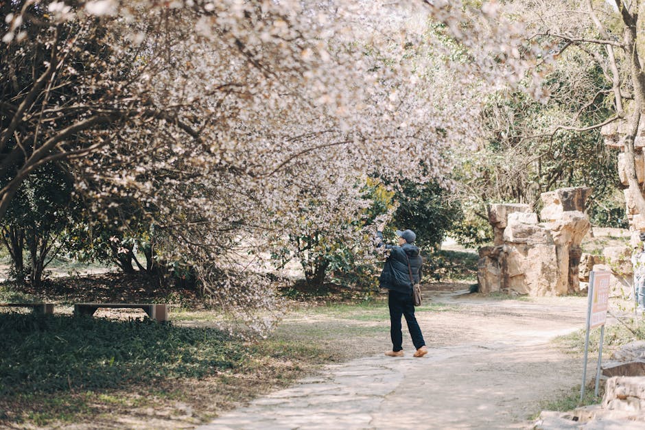 personal growth