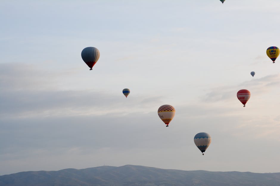 purposeful travel