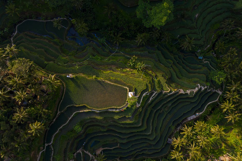 Top Travel Trends for 2025: Shaping the Future of Exploration