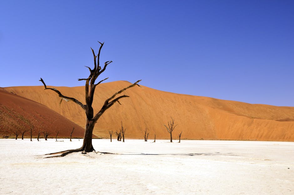 sustainable travel