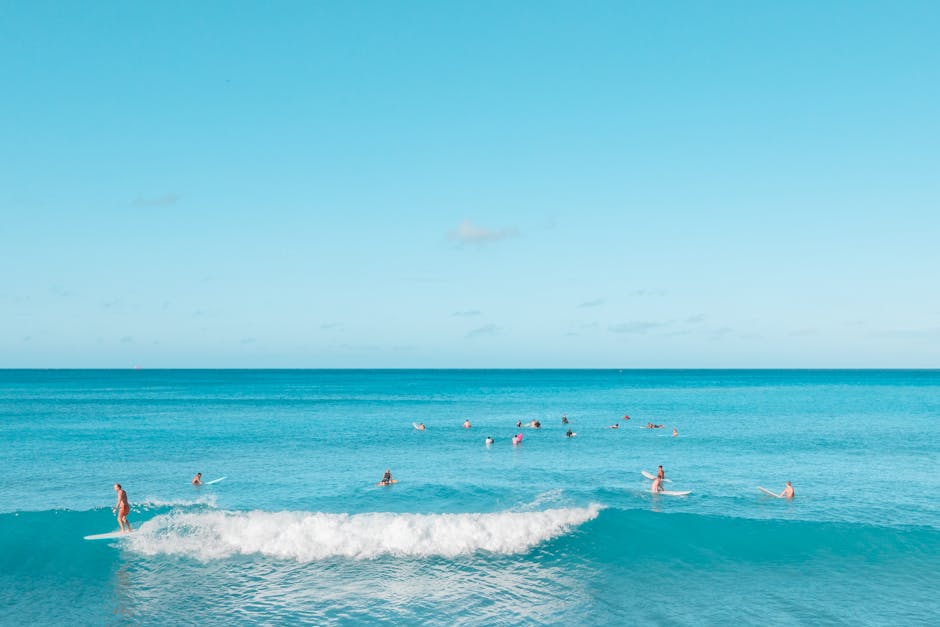 wellness travel