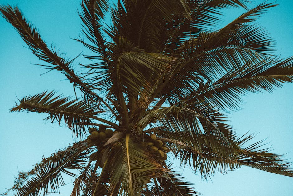 The Best All-Inclusive Resorts for Families in the Caribbean