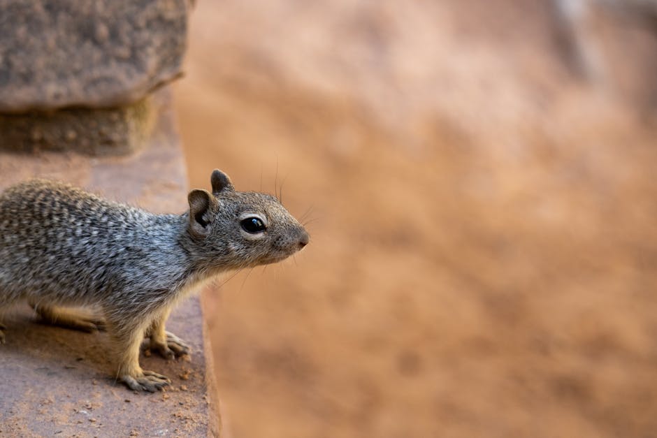 The Best of the U.S. National Parks: A Road Trip Itinerary