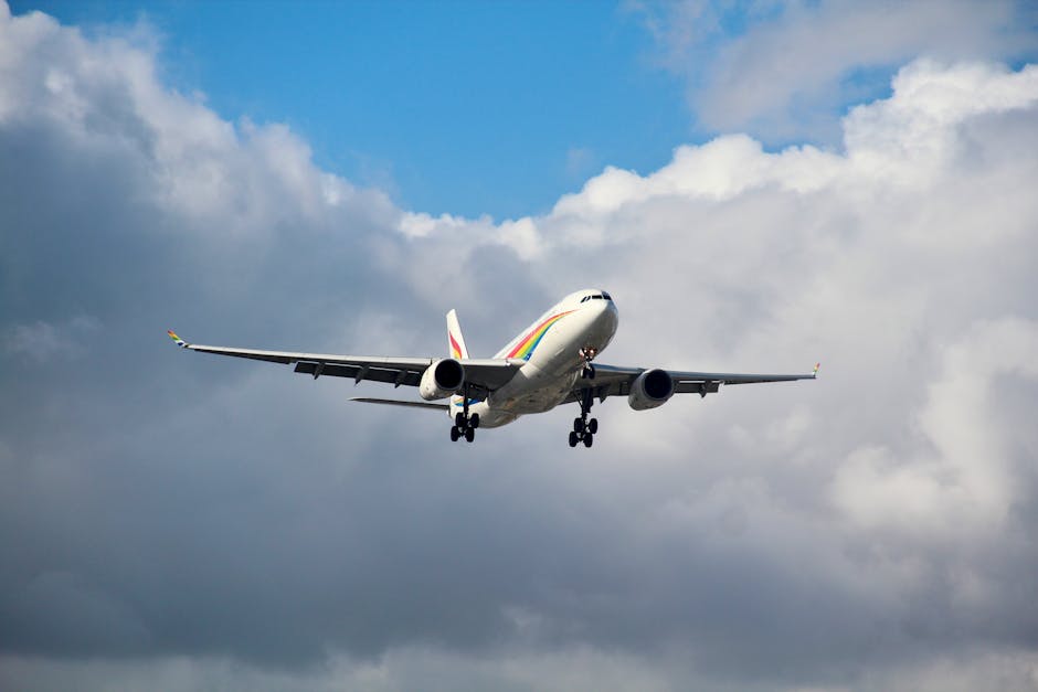 How to Find the Cheapest Flights: A Master Guide