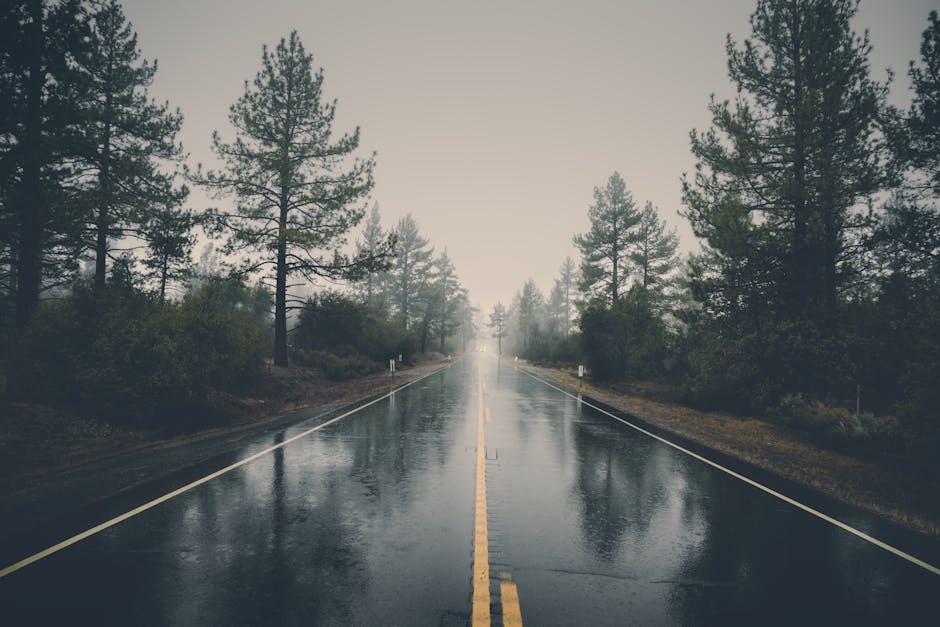 Road Tripping with Kids: How to Keep Everyone Happy